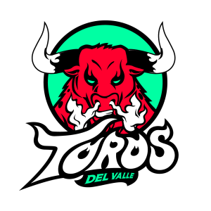 13 Toros del Valle